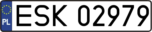 ESK02979