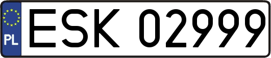 ESK02999