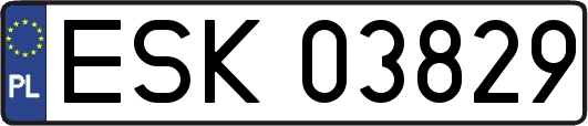 ESK03829
