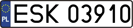 ESK03910