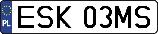 ESK03MS