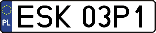 ESK03P1