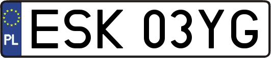 ESK03YG