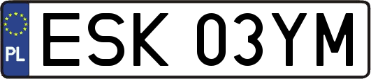 ESK03YM
