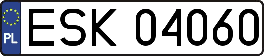 ESK04060