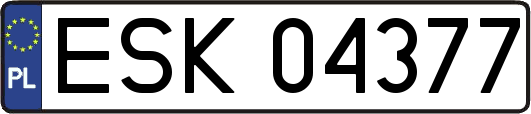 ESK04377