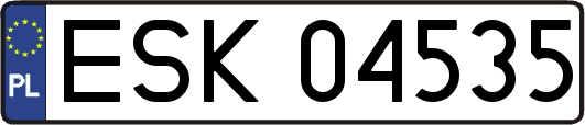 ESK04535