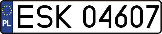 ESK04607