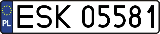 ESK05581