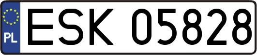 ESK05828