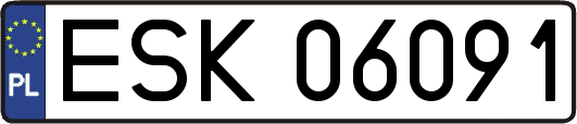 ESK06091