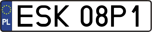 ESK08P1