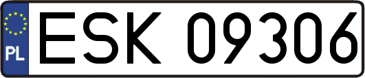 ESK09306