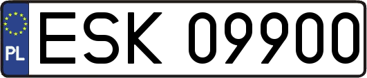ESK09900