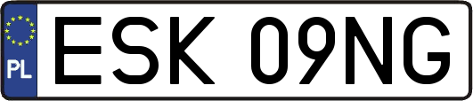 ESK09NG