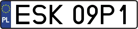 ESK09P1