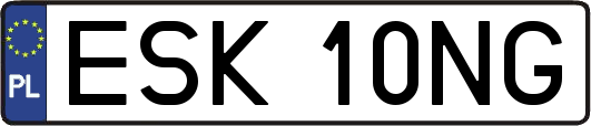 ESK10NG