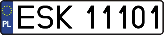 ESK11101