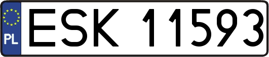 ESK11593