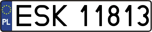 ESK11813