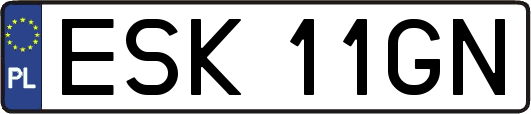 ESK11GN