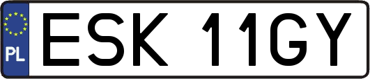 ESK11GY