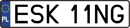 ESK11NG
