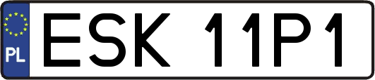 ESK11P1