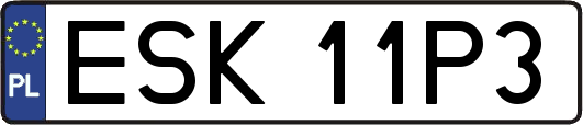ESK11P3