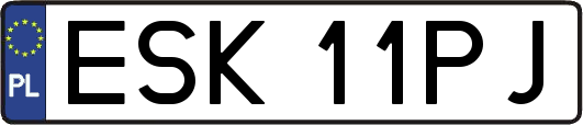 ESK11PJ