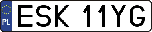 ESK11YG