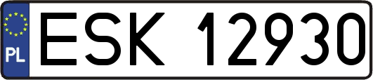 ESK12930