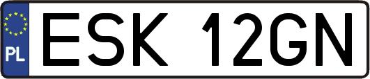 ESK12GN