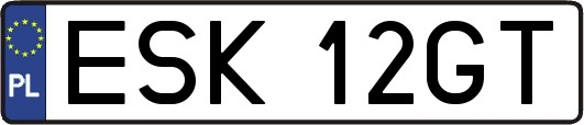 ESK12GT