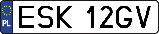ESK12GV