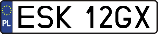 ESK12GX