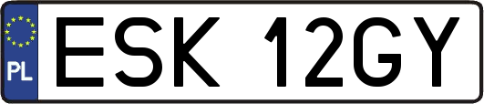 ESK12GY