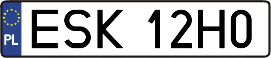 ESK12H0