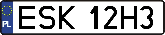 ESK12H3