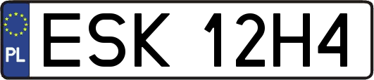 ESK12H4