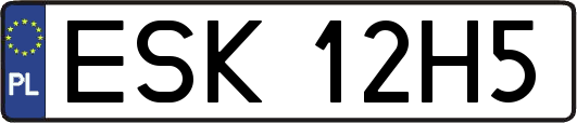 ESK12H5