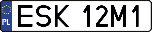 ESK12M1
