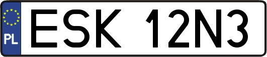 ESK12N3