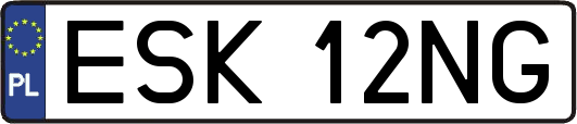 ESK12NG