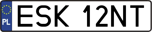 ESK12NT