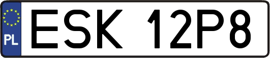 ESK12P8