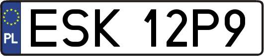 ESK12P9