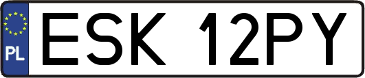 ESK12PY