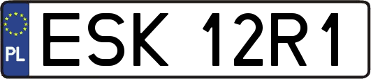 ESK12R1