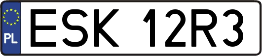 ESK12R3